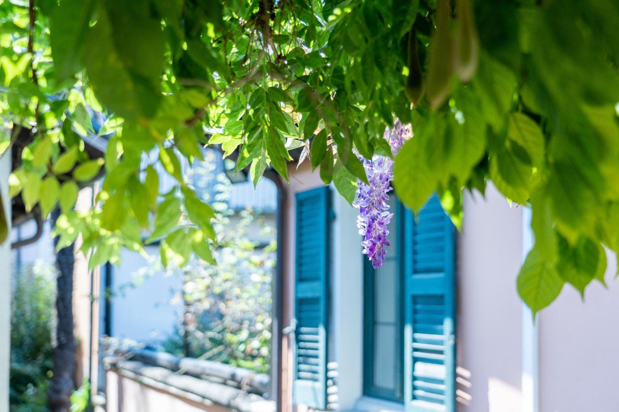 Seven Boutique Hotel Аскона Экстерьер фото